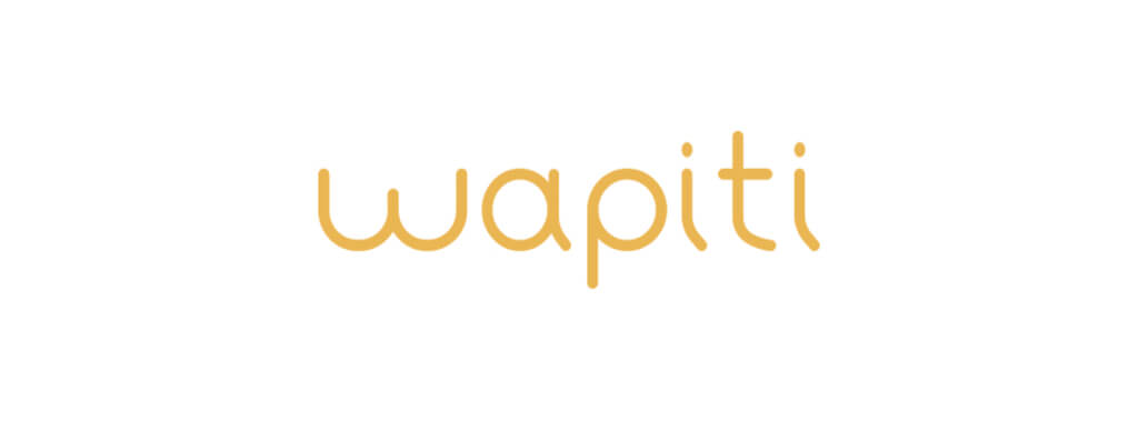  Wapiti — Agence web et e-commerce - Agences Web à Lille