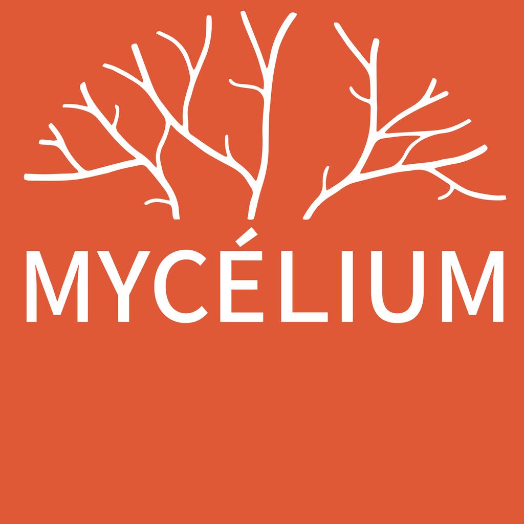  Mycelium Cloud - Agence web à Saint-Martin-d’Hères