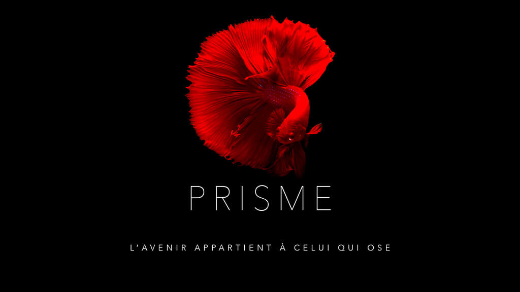  Agence Prisme - Agence web à Saint-Martin-d’Hères